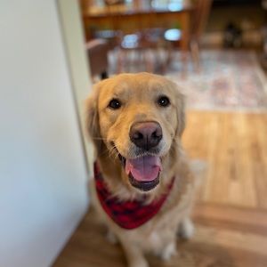 Meet your Posher, Brett